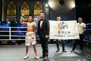 拳擊運動賽事組織 從策劃到執行的全方位指南