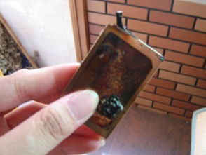 如何讓“老了”的手機(jī)電池重?zé)ㄐ律?實(shí)用指南